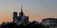 , Vidéos. La comédie musicale « Notre-Dame de Paris » fête ses 25 ans et revient sur scène